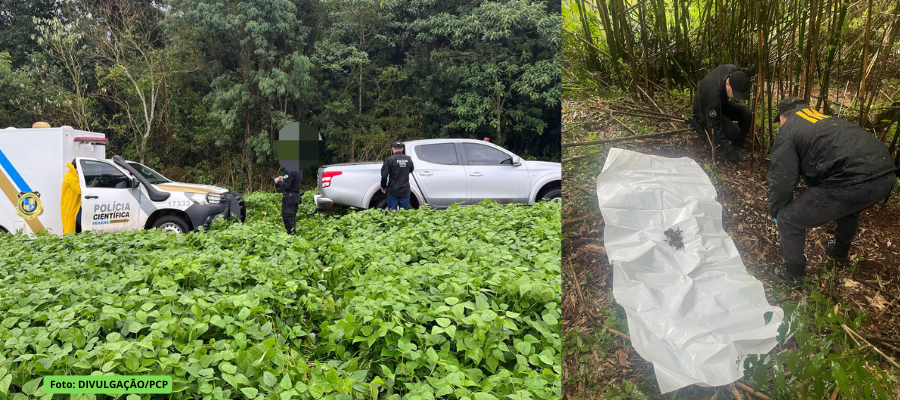Área rural de Mangueirinha onde ossada foi encontrada pela PCPR.