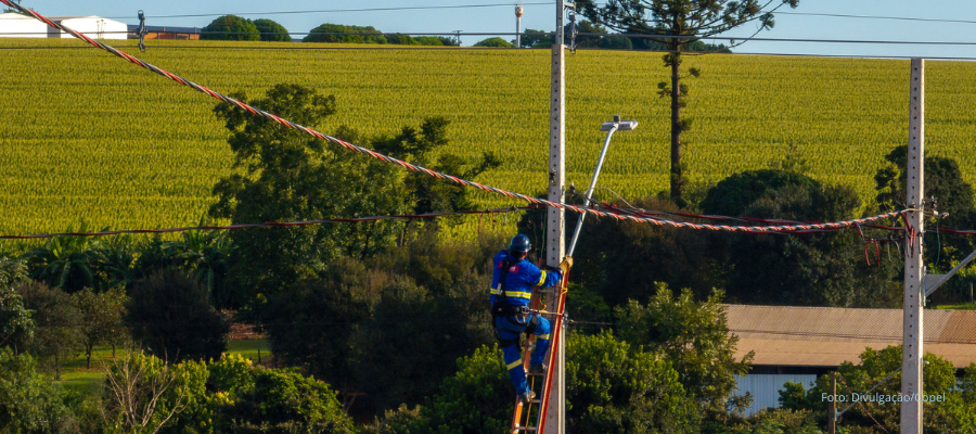 Técnico da Copel realiza manutenção em rede elétrica no campo