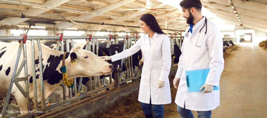 Capanema tem vaga para médico veterinário; inscrições até 26 de maio