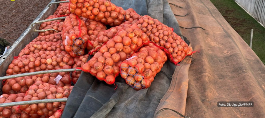 Carga de cebola argentina apreendida em operação da PM