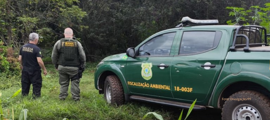 Agentes ambientais fiscalizando crimes ambientais no Parque Nacional do Iguaçu