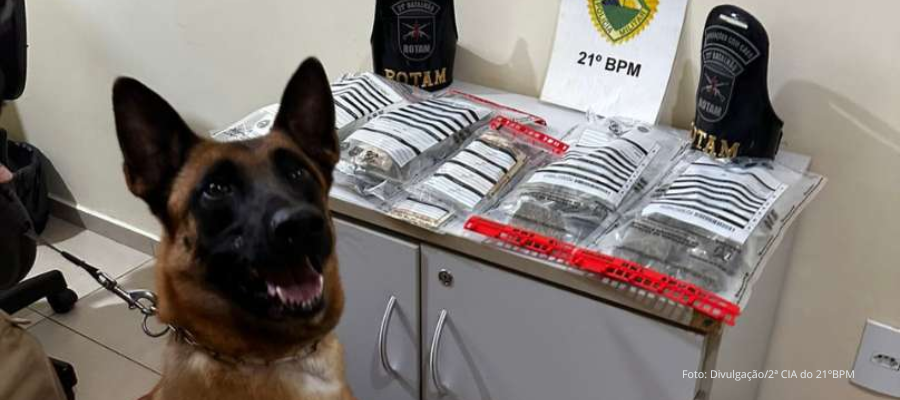 Entorpecentes e objetos apreendidos em operação policial