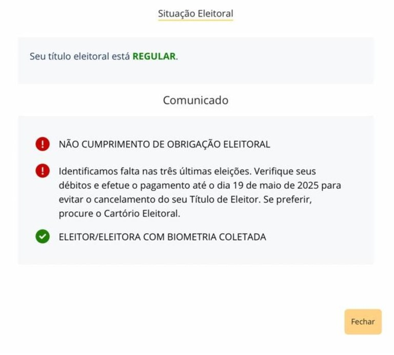 Comunicado de irregularidade na Justiça Eleitoral - Foto: Reprodução/Justiça Eleitoral