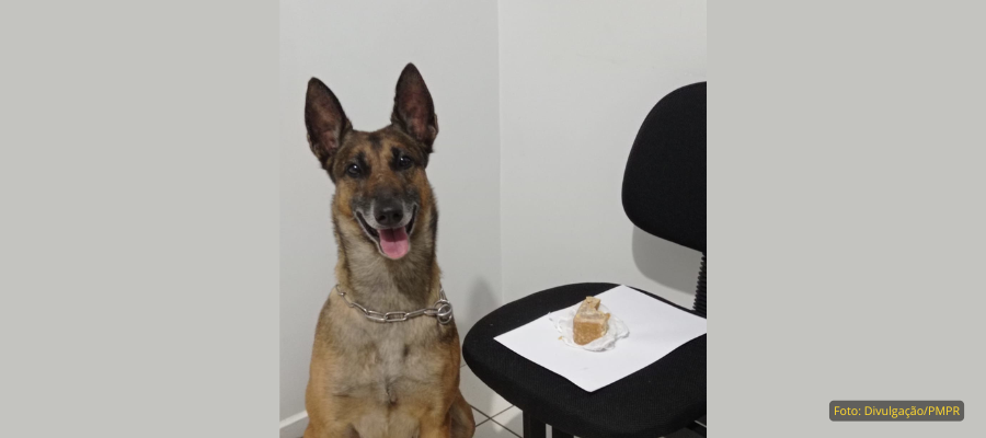Com ajuda de cães, PM apreende crack com adolescente em táxi