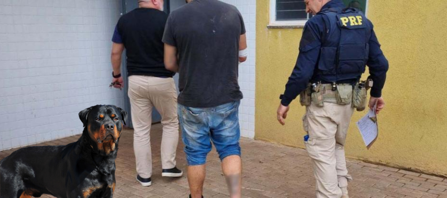 Jovem foge da PRF e é mordido por rottweiler antes de ser preso em Lindoeste