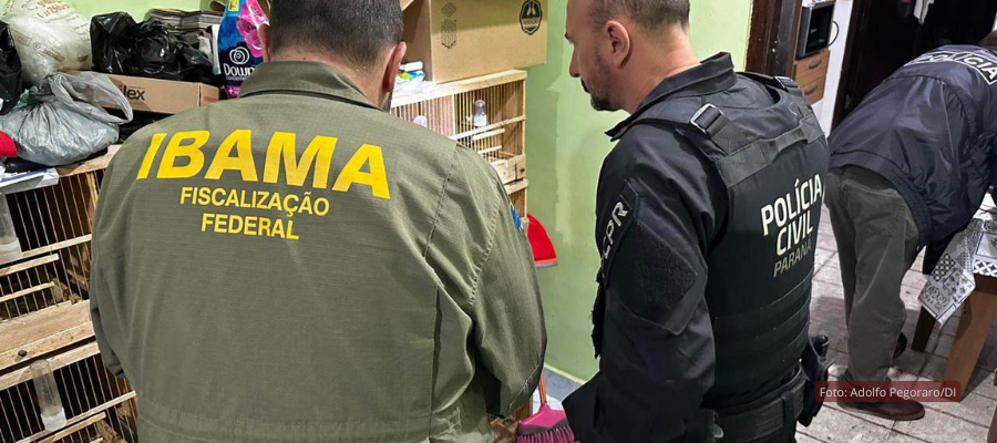 PCPR combate tráfico internacional de animais