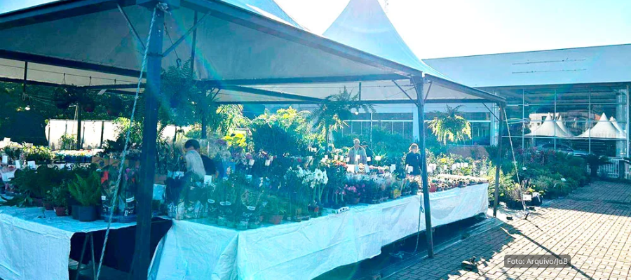 Feira de Mudas e Expoflor seguem até domingo em Dois Vizinhos