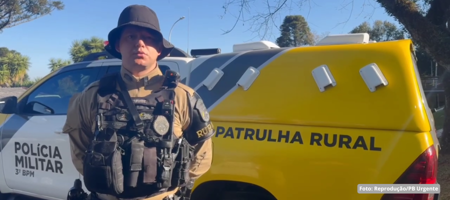 Policiais apreendem tabletes de maconha e fuzil de ar comprimido em