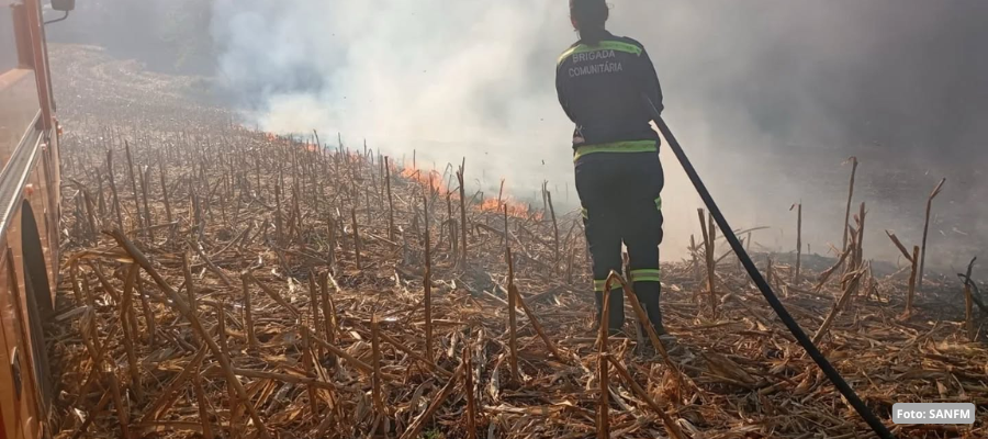 Bombeiros combatem incêndio em lavoura de milho em Capitão Leônidas Marques