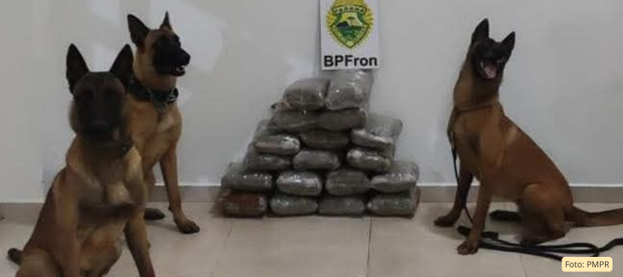 BPFRON prende homem com 18 kg de maconha em Santo Antônio do Sudoeste