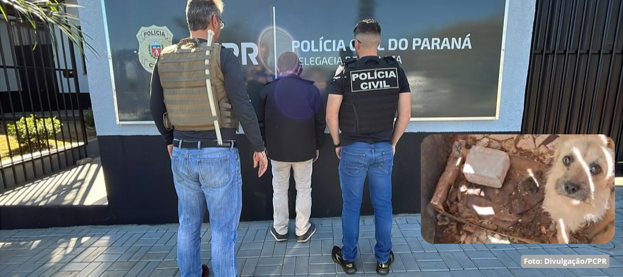 Homem é preso em Realeza por maus-tratos a cachorro