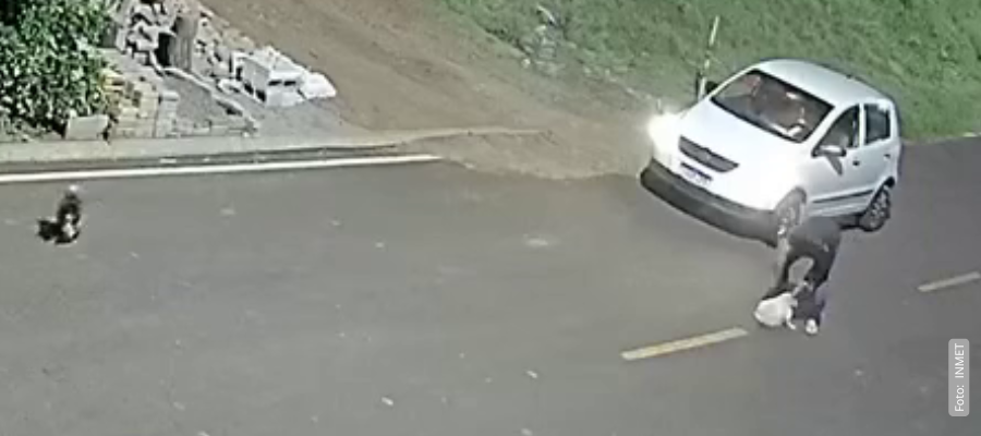 PCPR investiga maus-tratos a cães em Francisco Beltrão