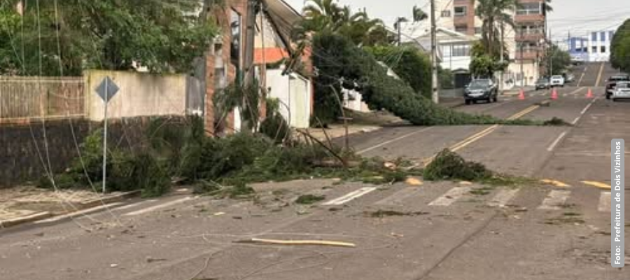 temporal causa estragos em Dois Vizinhos e Capanema, sudoeste do Paraná
