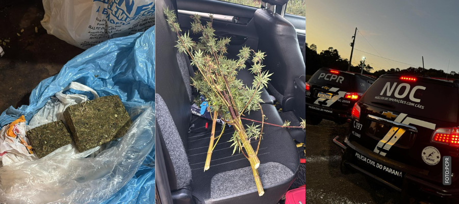 Operação contra tráfico em Salto do Lontra com Polícia Civil