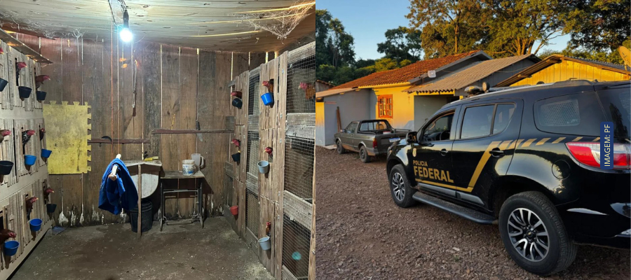 PF cumprem mandados da Operação Saleiro na Tri-Fronteira