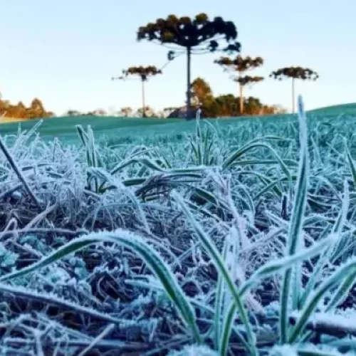 Inverno começa com previsão de frio e geadas no Sudoeste do Paraná