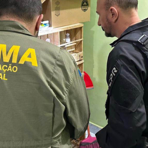 PCPR combate tráfico internacional de animais