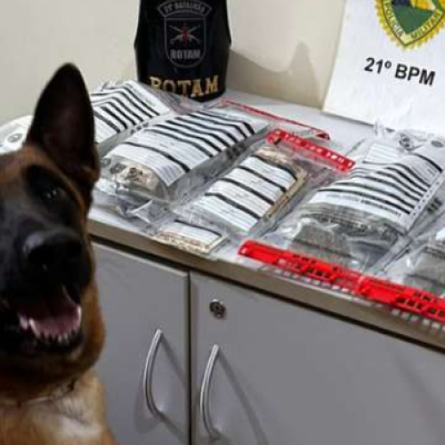 Operação policial prende três homens por tráfico de drogas no Sudoeste do PR
