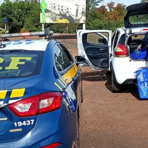 PRF apreende 93 kg de maconha em Realeza e prende jovem de 21 anos