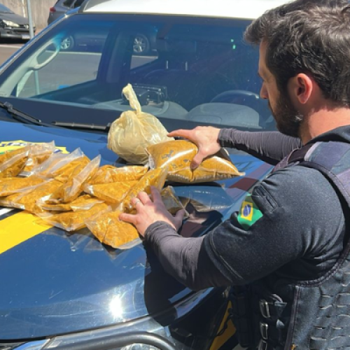 PRF apreende mais de 300 kg de maconha e haxixe em Pato Branco