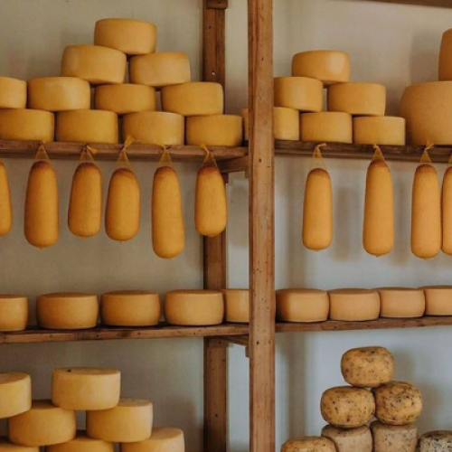 Queijo colonial do Sudoeste recebe Indicação Geográfica