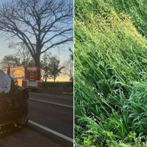Acidente com animal em São Jorge D’Oeste mobiliza socorro
