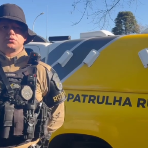 Polícia apreende 25 tabletes de maconha e detém dois em Pato Branco