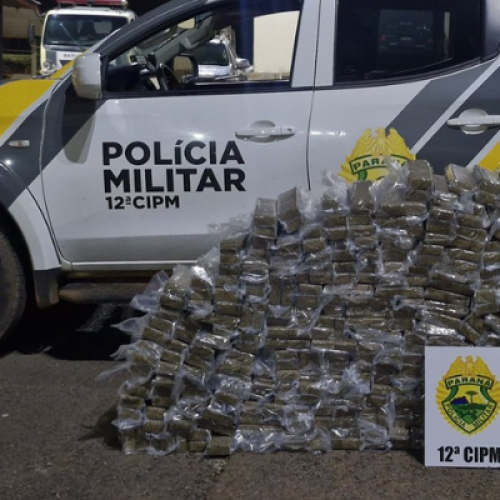 Polícia apreende 400 kg de maconha na PRC-280 em Palmas
