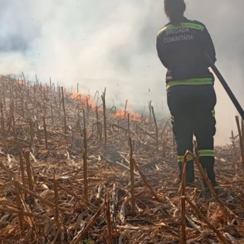 Bombeiros combatem incêndio em lavoura de milho em Capitão Leônidas Marques