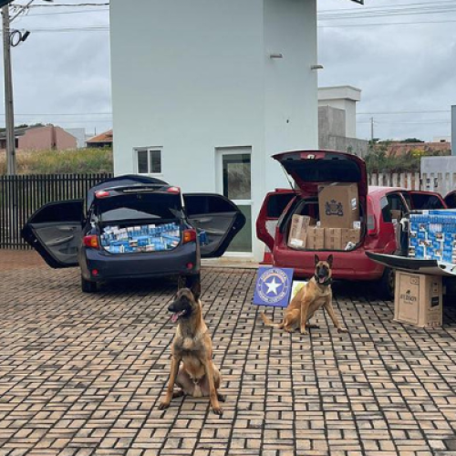 BPFron apreende três veículos carregados com cigarros contrabandeados em Salgado Filho