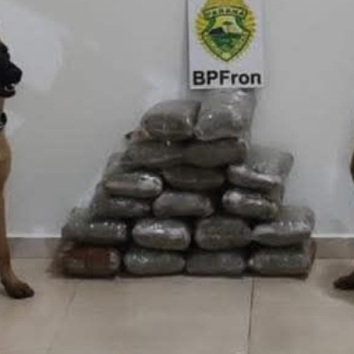 BPFRON prende homem com mais de 18 kg maconha em Santo Antônio do Sudoeste