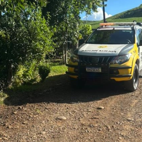 Homicídio em Coronel Vivida ocorre na zona rural