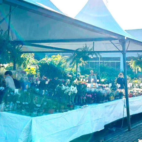 Feira de Mudas e Expoflor seguem até domingo em Dois Vizinhos