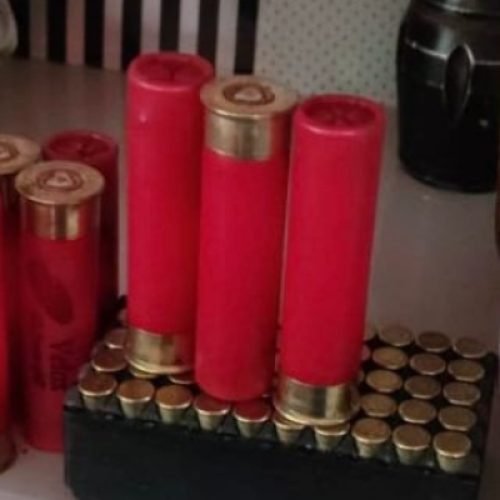 Policiais da PCPR cumprem mandados em operação no Sudoeste