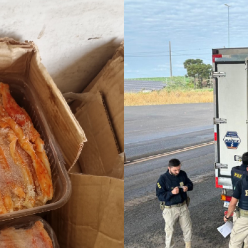 PRF apreende 2,5 toneladas de pescado irregular na BR-158, em Coronel Vivida