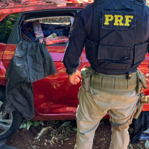 RF realiza apreensão de maconha em Chopinzinho na BR-373