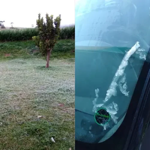 Forte geada pinta Capanema de branco
