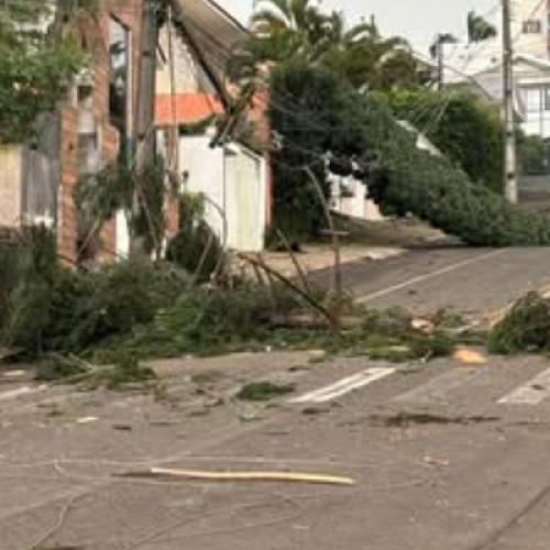 Temporal causa estragos no Sudoeste do Paraná